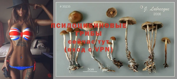 твердый Михайлов