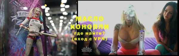 твердый Михайлов
