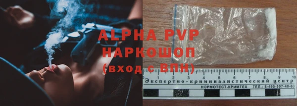 твердый Михайлов