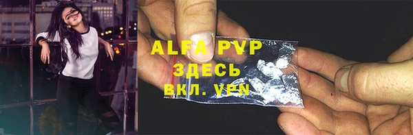 твердый Михайлов