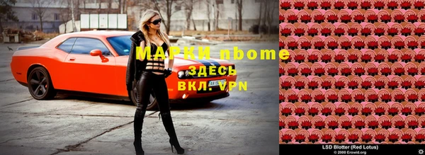 твердый Михайлов