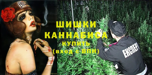 твердый Михайлов