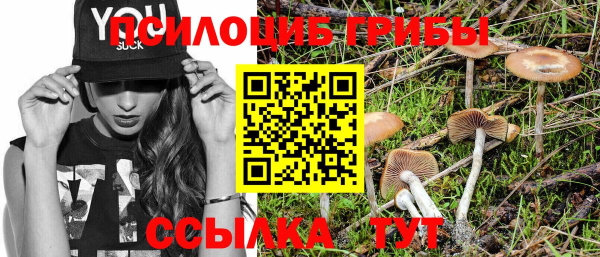Псилоцибиновые грибы прущие грибы Ялта